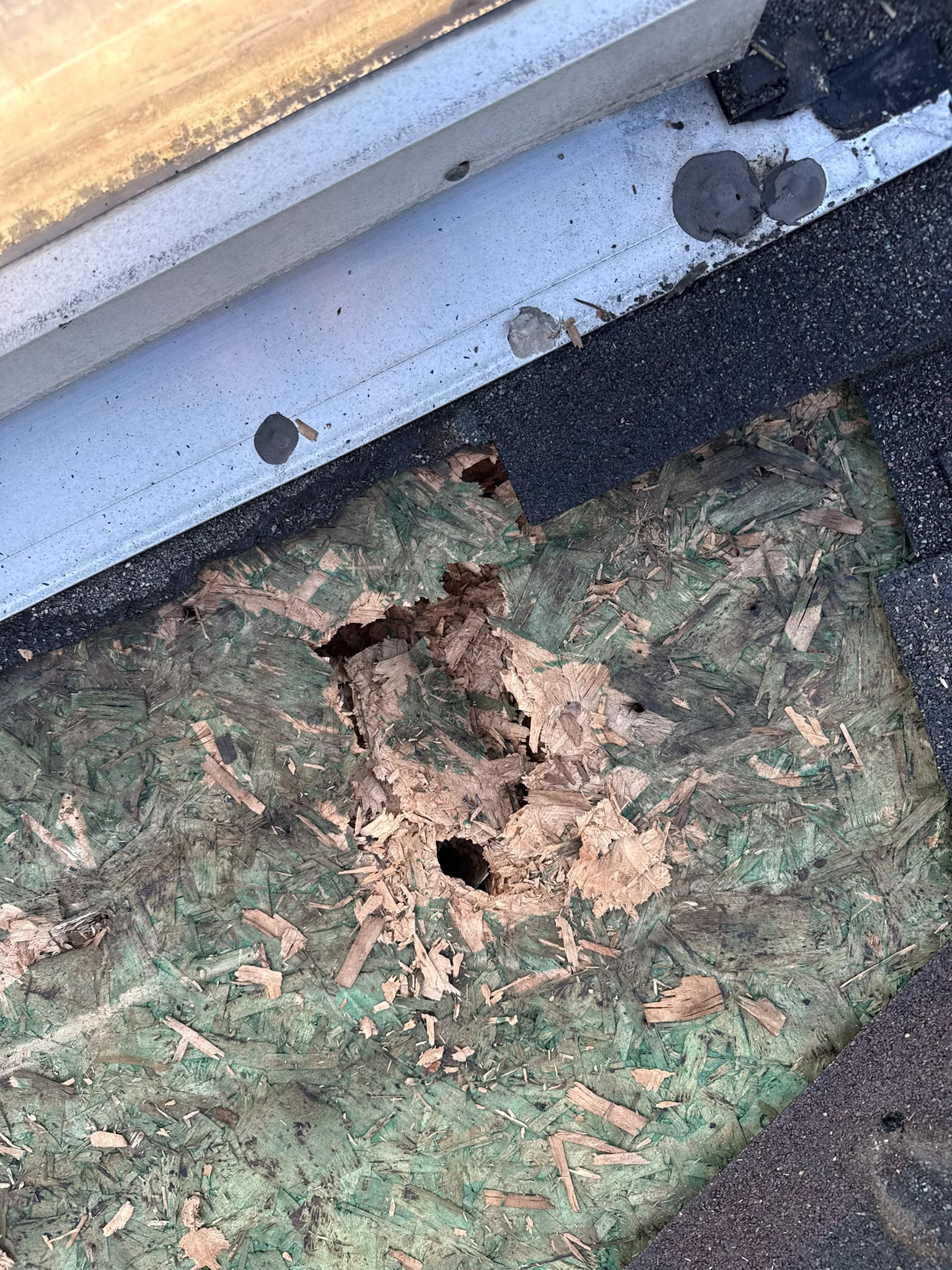 Damaged roof decking exposed during a roof repair